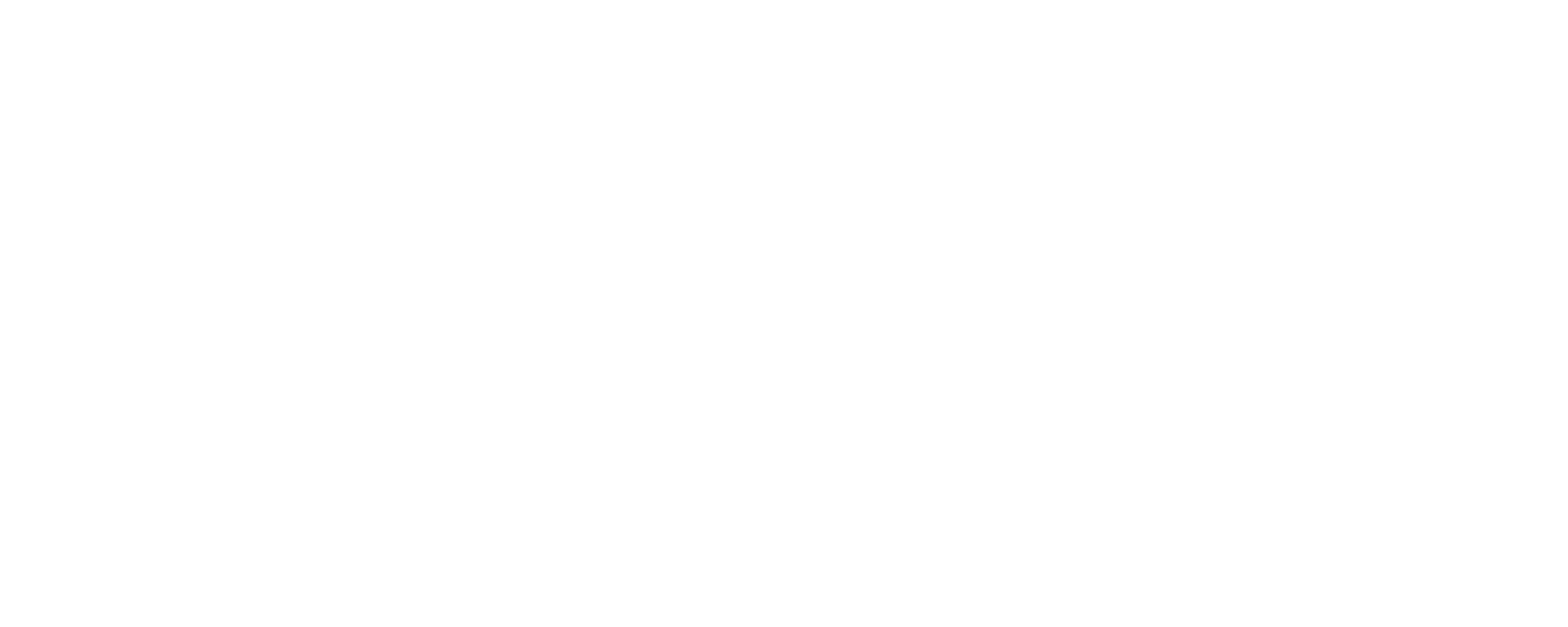 Logo Skills4All Blanc