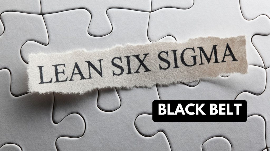 Black Belt Comment réussir la certification Black Belt Six Sigma