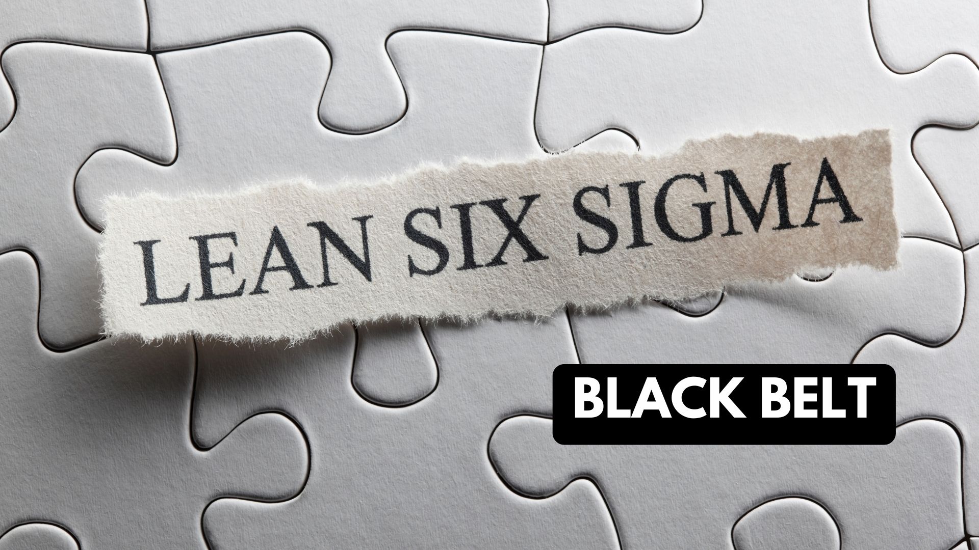 Black Belt : Comment réussir la certification Black Belt Six Sigma ?